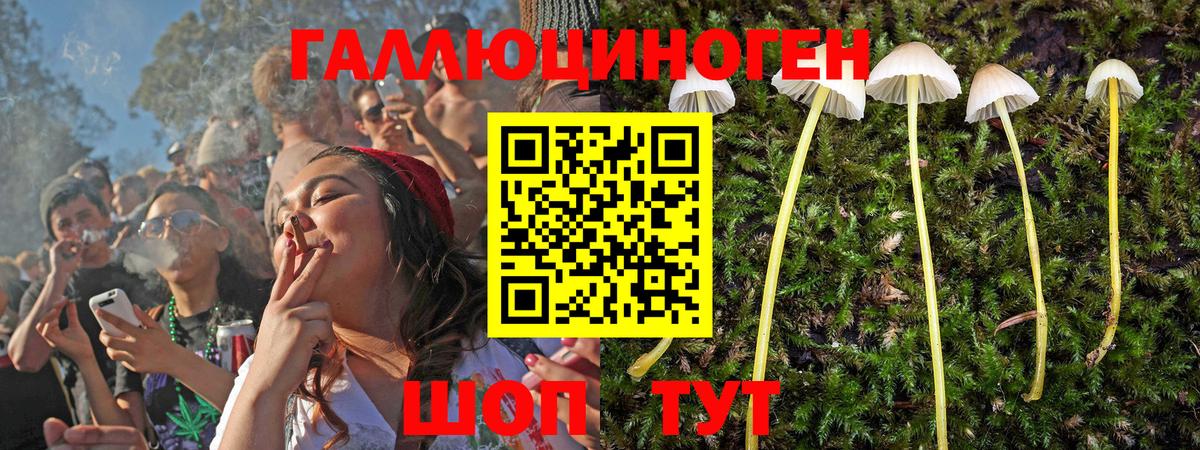 Набережные Челны  Галлюциногенные грибы Psilocybe  Вход с VPN 